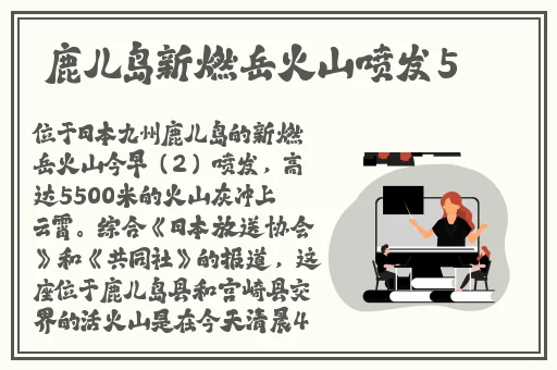 沈芯语家访天美传媒有限公司